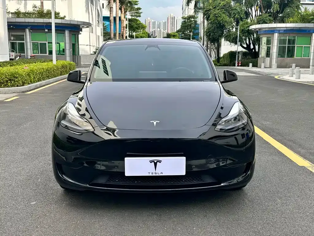 Tesla Model Y — фото 7