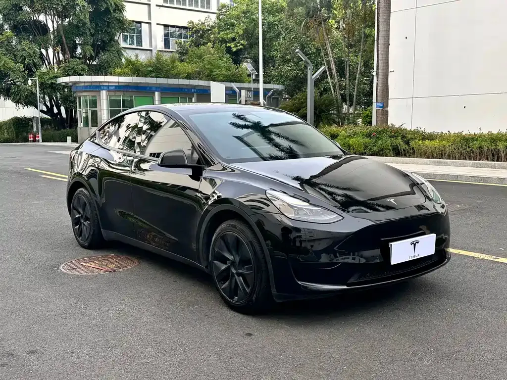 Tesla Model Y — фото 8