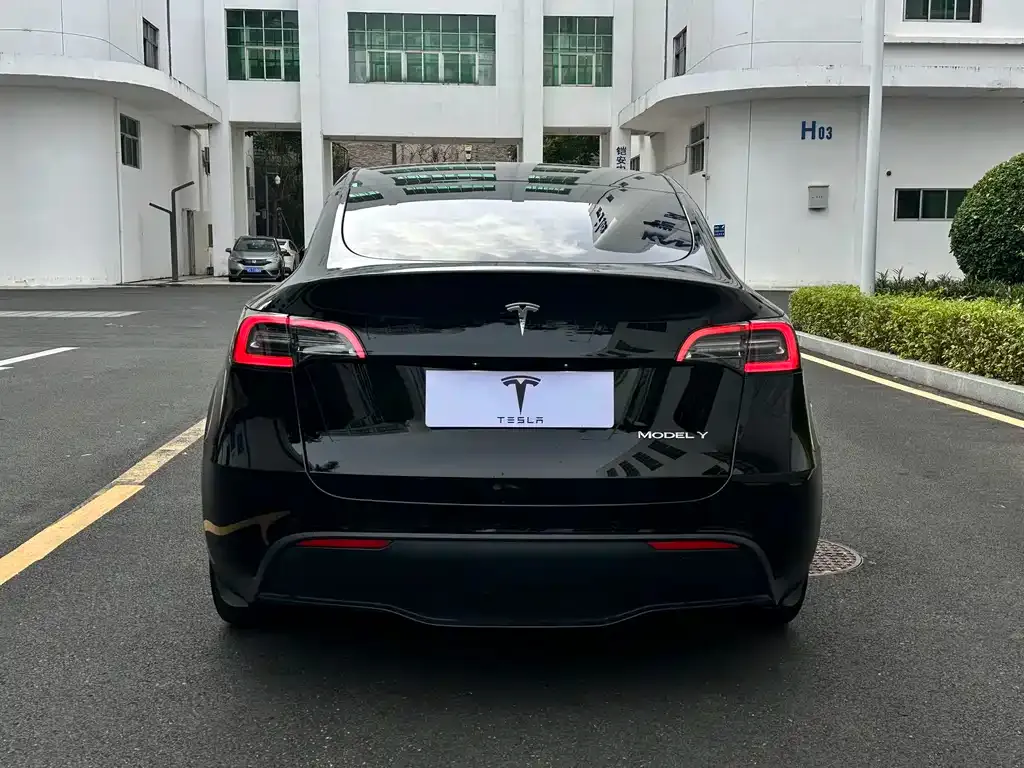 Tesla Model Y — фото 3