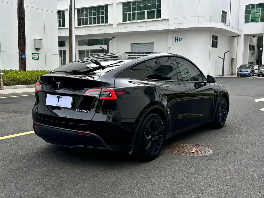 Tesla Model Y — фото 4