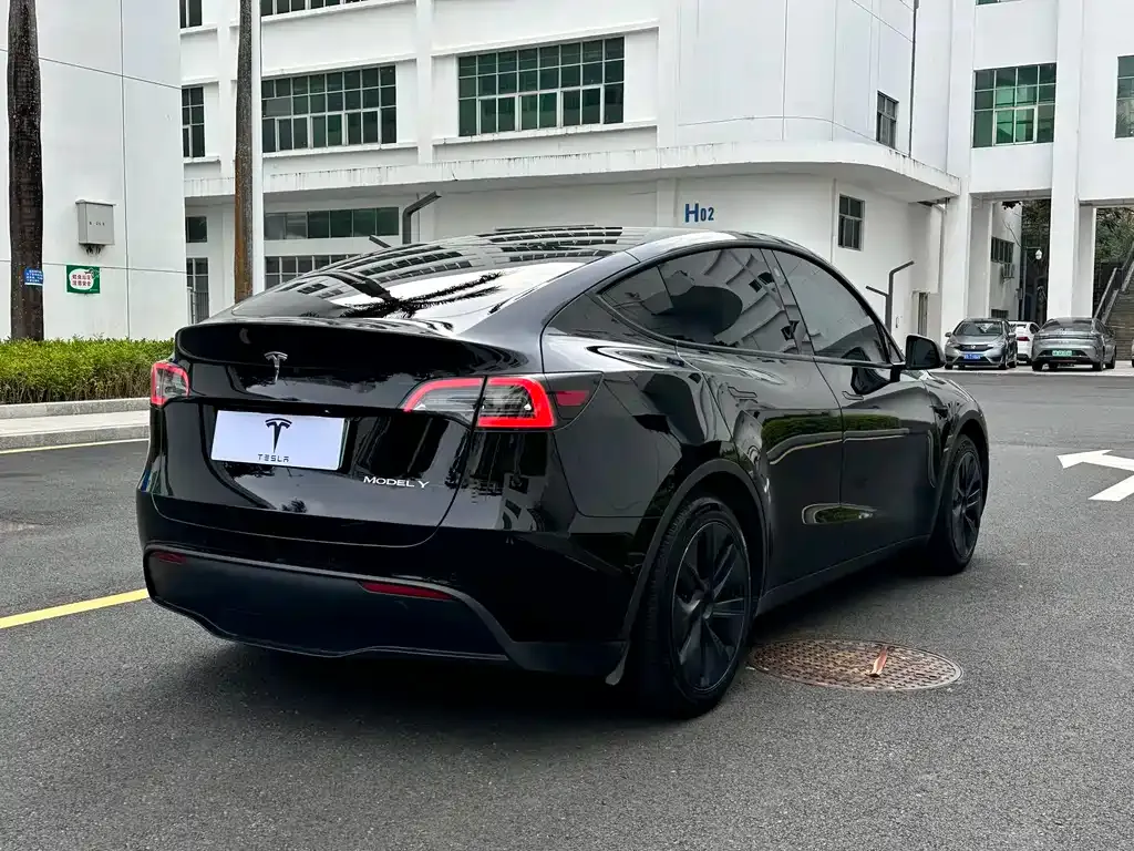Tesla Model Y — фото 6