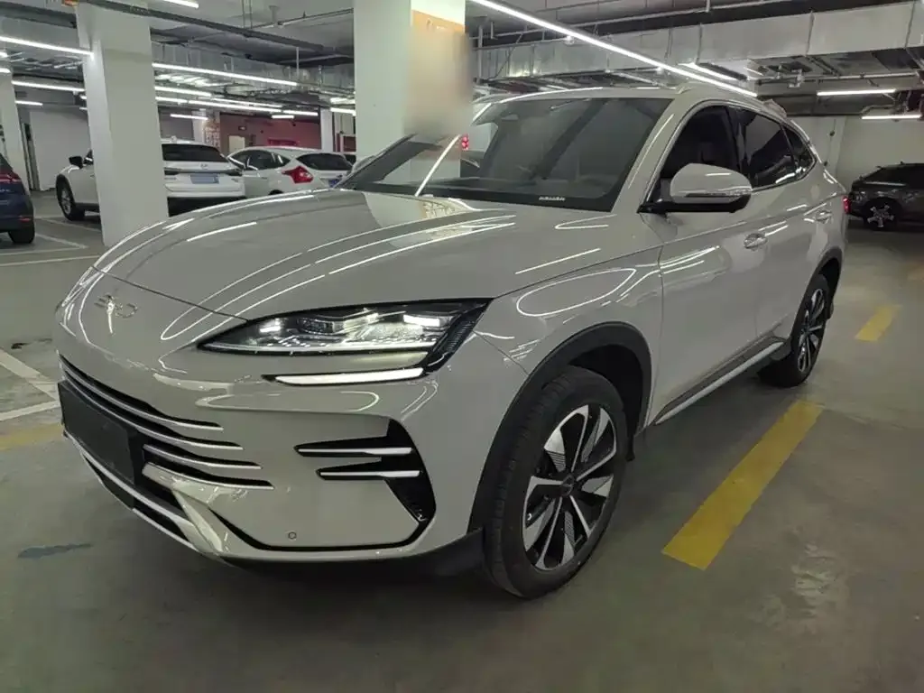 BYD PLUS New Energy — фото 10