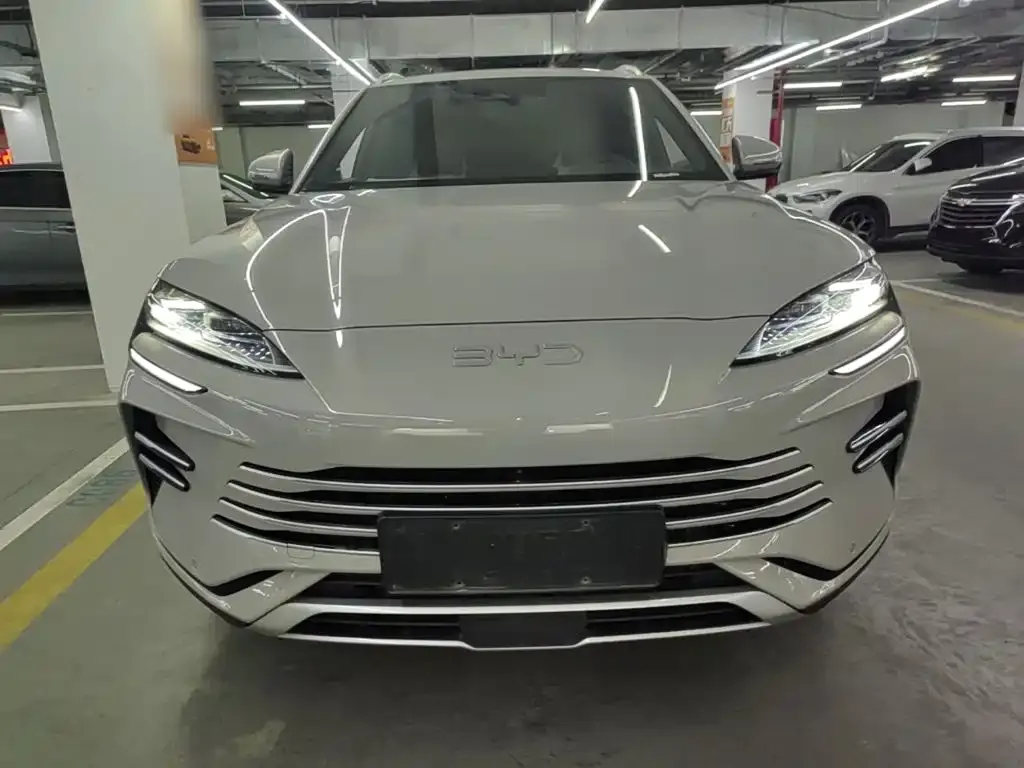 BYD PLUS New Energy — фото 8