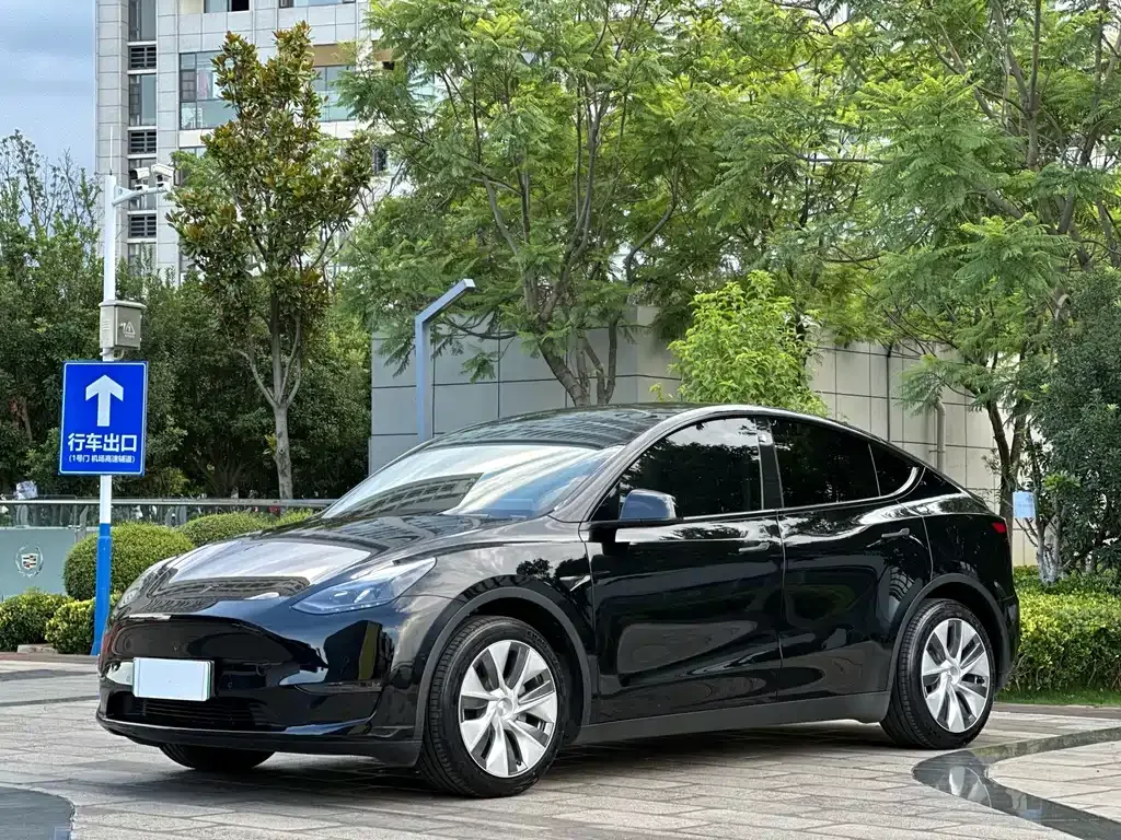 Tesla Model Y — фото 1
