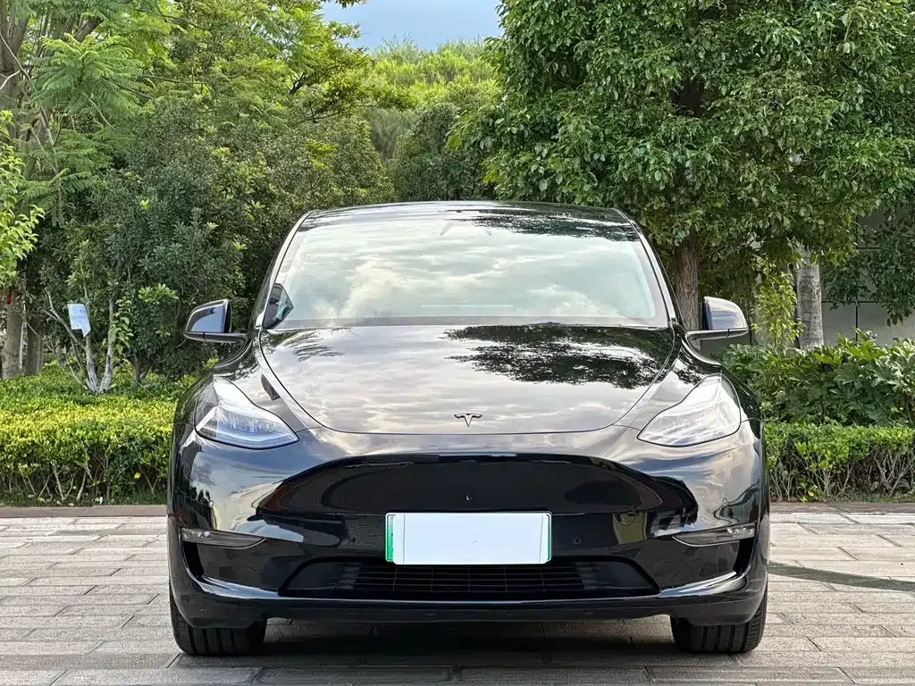 Tesla Model Y — фото 8