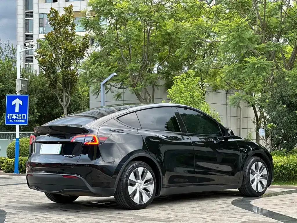 Tesla Model Y — фото 7