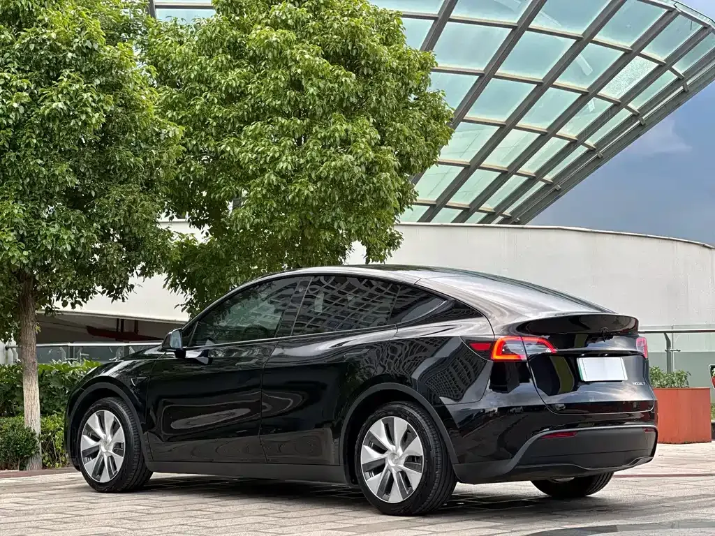 Tesla Model Y — фото 10