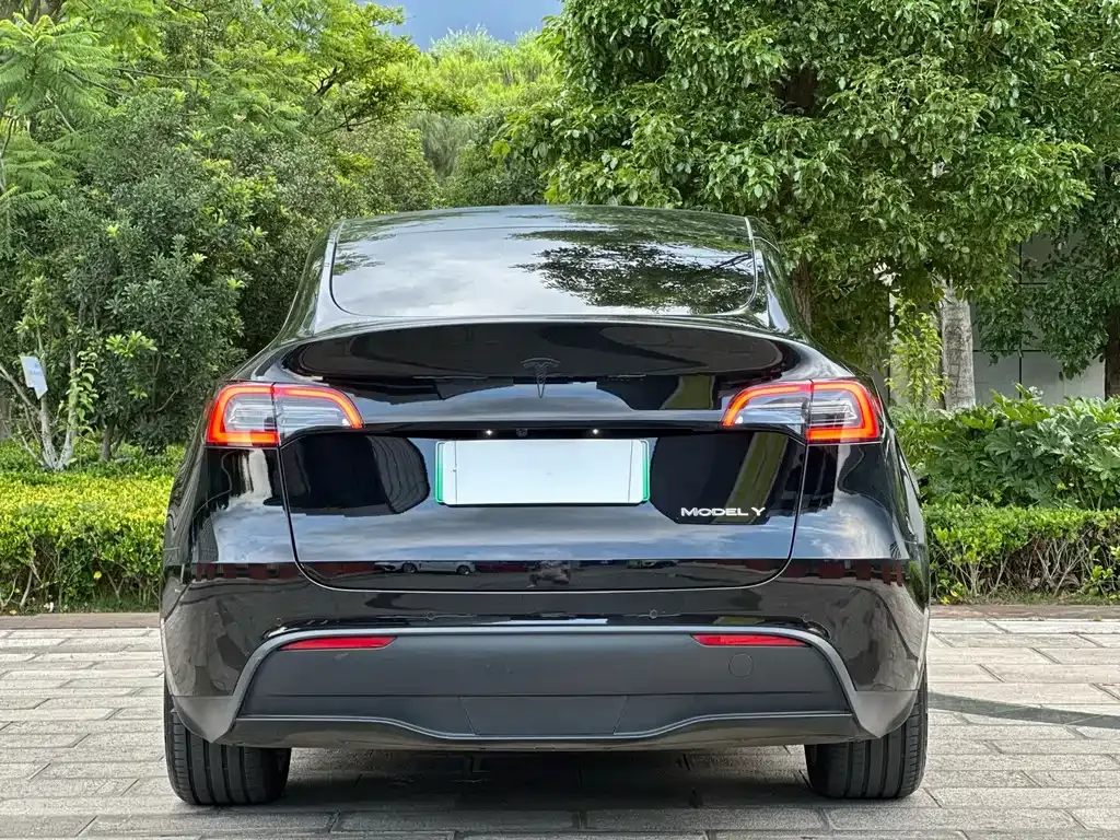 Tesla Model Y — фото 9