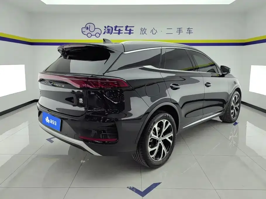 BYD Tang New Energy — фото 2
