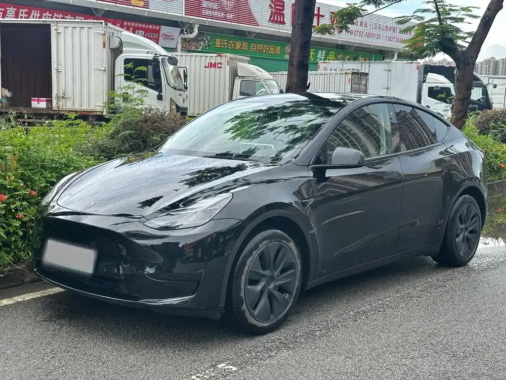 Tesla Model Y — фото 1