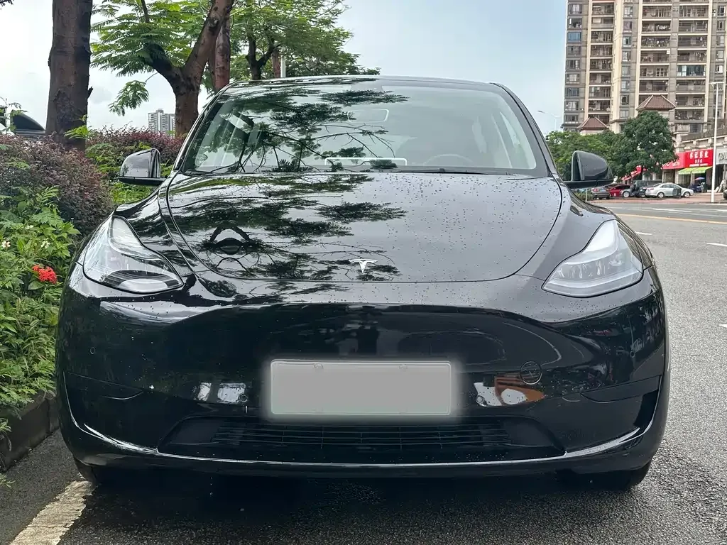 Tesla Model Y — фото 5