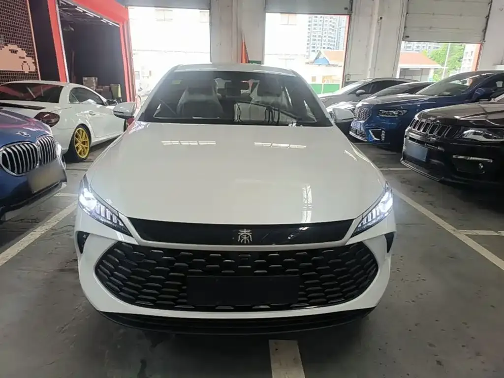 BYD Qin PLUS — фото 2