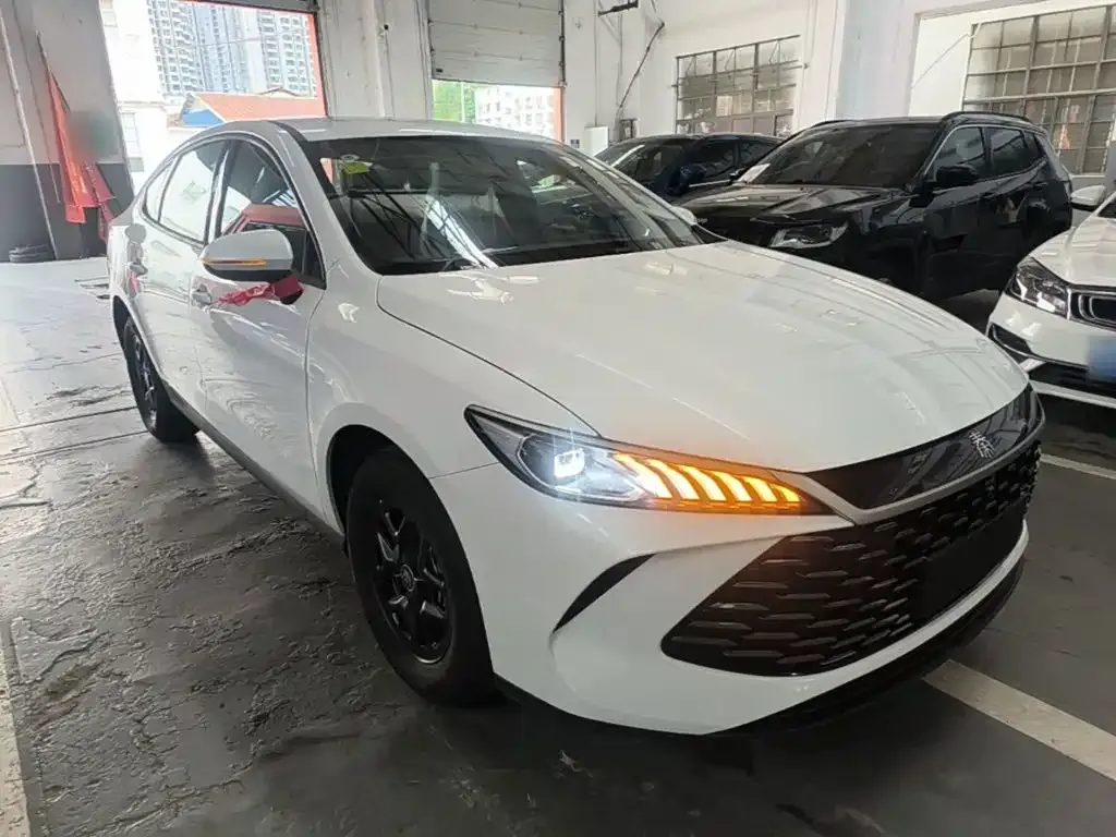 BYD Qin PLUS — фото 10