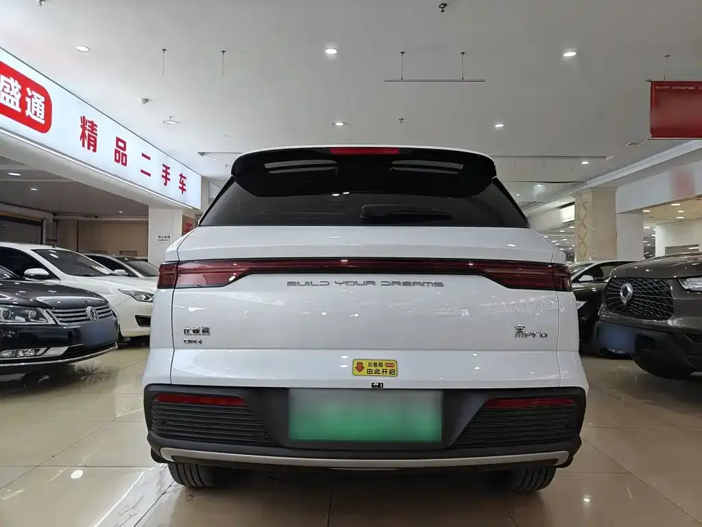BYD Pro New Energy — фото 3