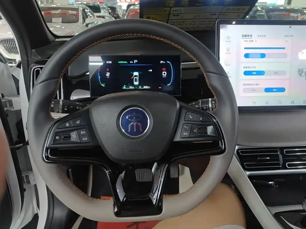 BYD Pro New Energy — фото 6