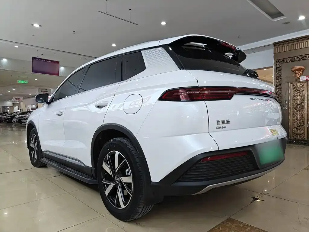 BYD Pro New Energy — фото 9