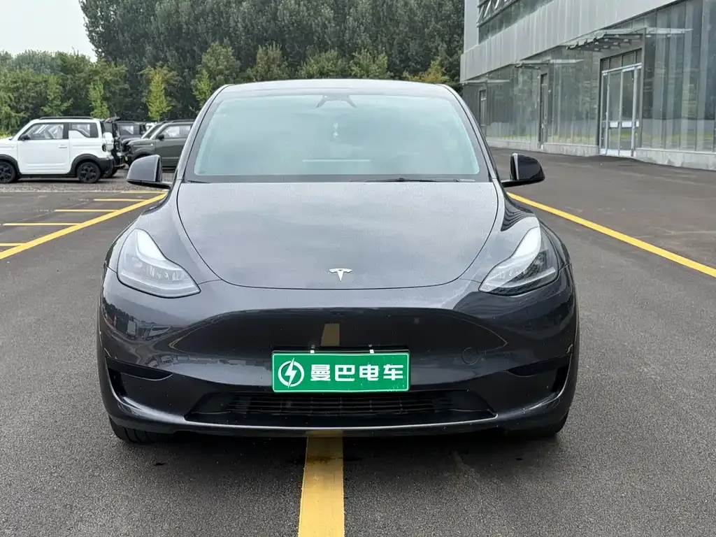Tesla Model Y — фото 5