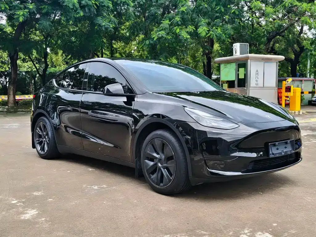 Tesla Model Y — фото 10