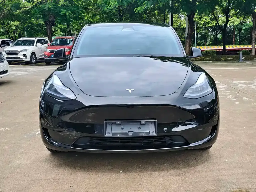 Tesla Model Y — фото 8