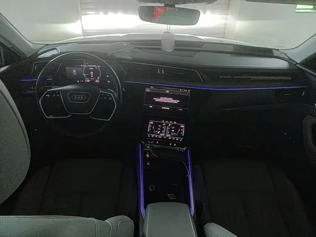 Audi e-tron (Import) — фото 9