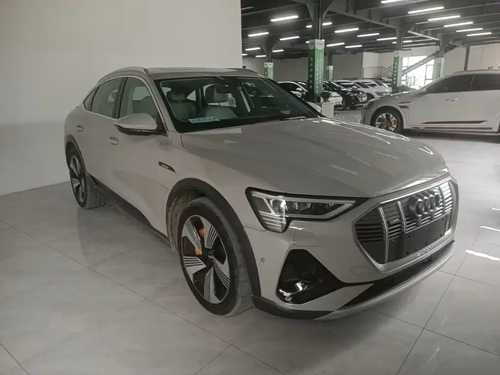 Audi e-tron (Import) — фото 8
