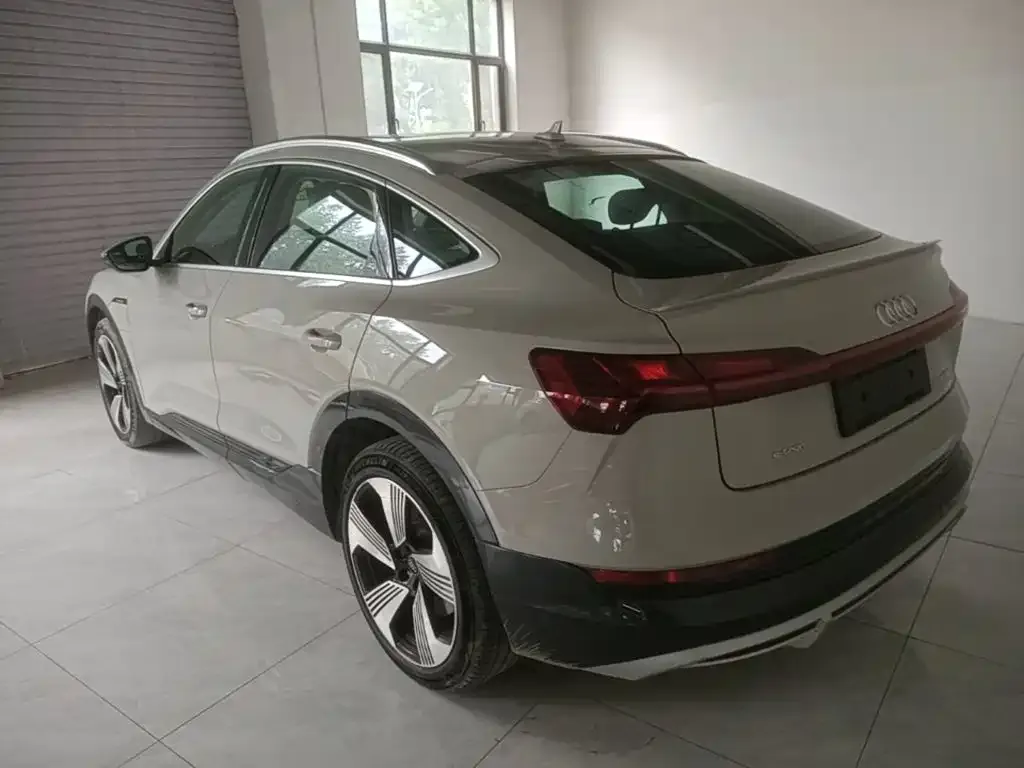 Audi e-tron (Import) — фото 6