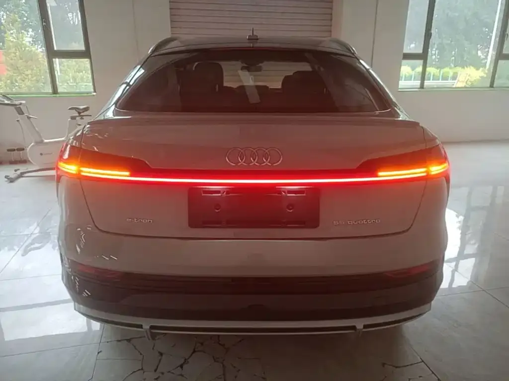 Audi e-tron (Import) — фото 7