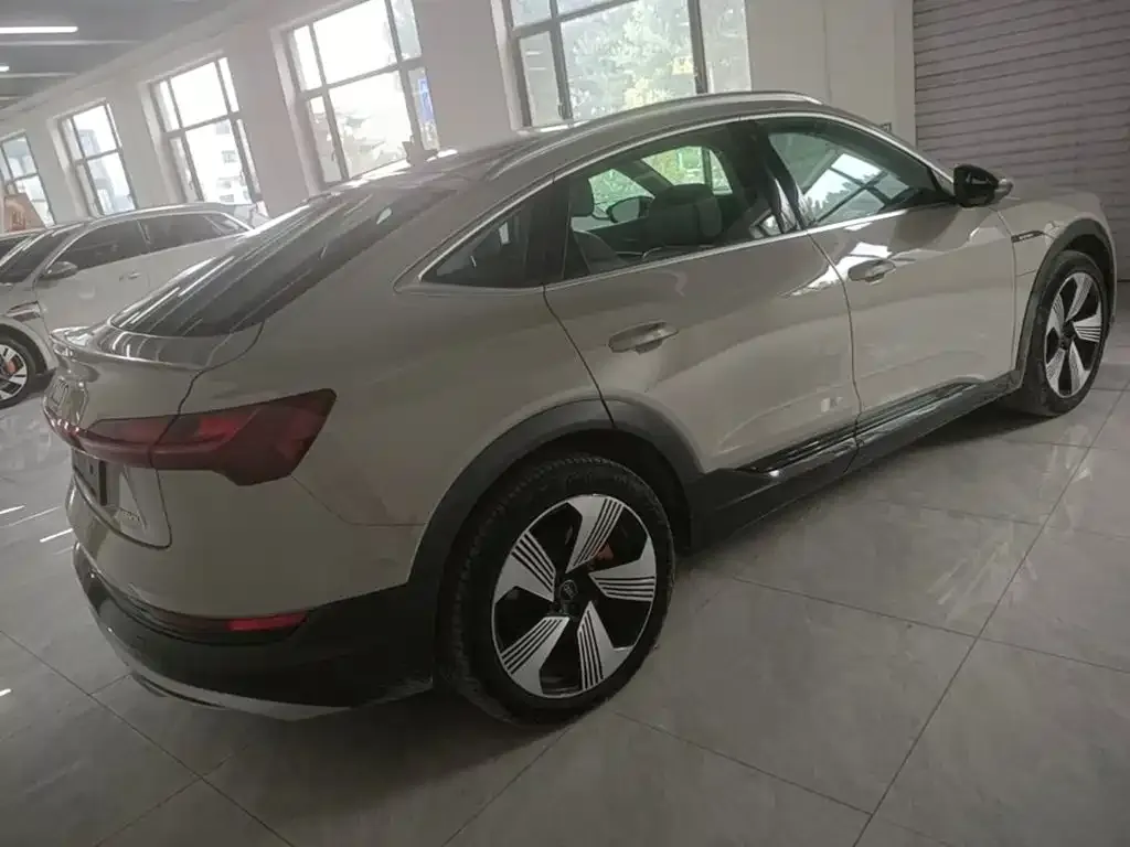 Audi e-tron (Import) — фото 10