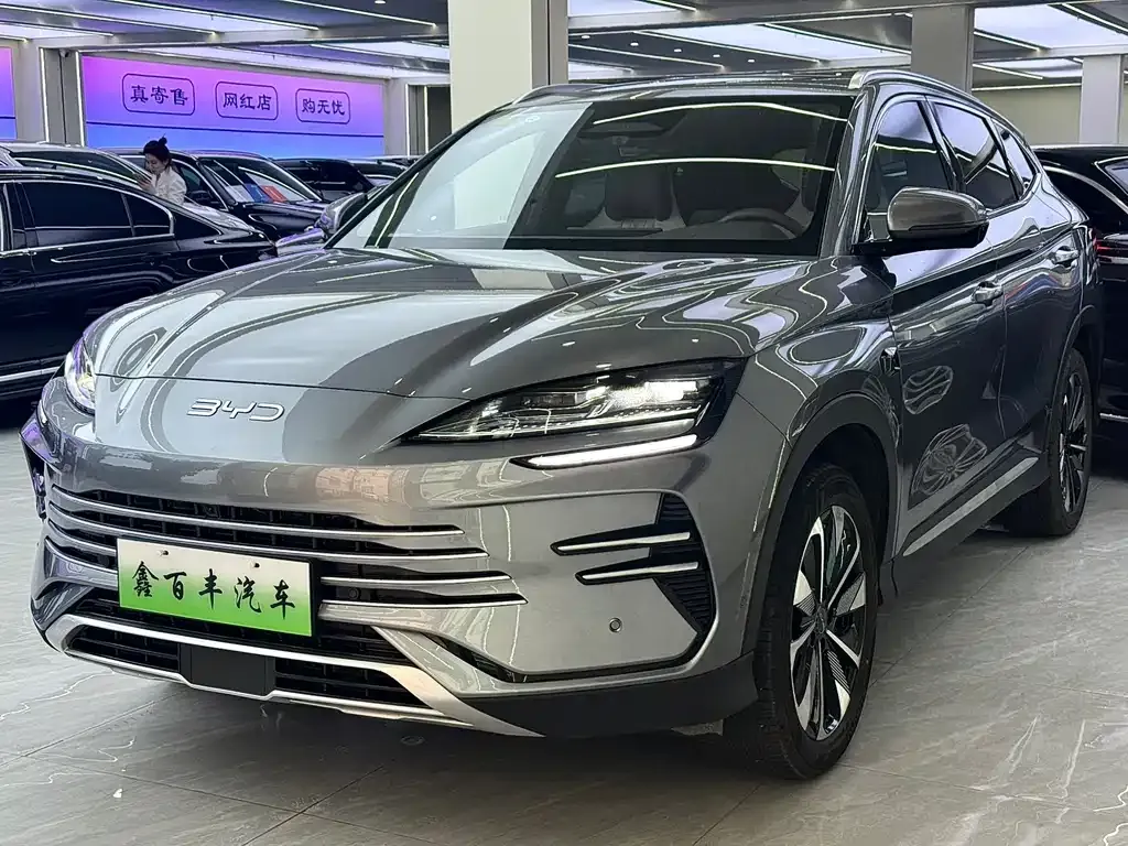 BYD PLUS New Energy — фото 1