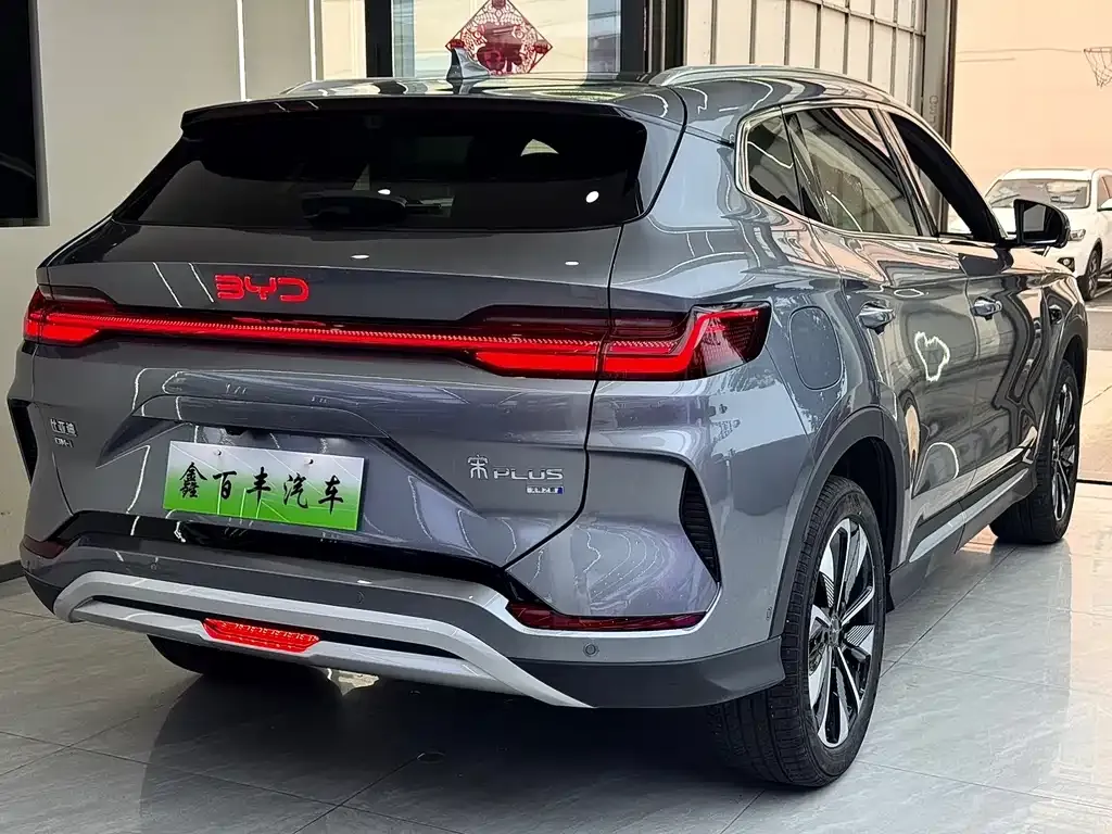 BYD PLUS New Energy — фото 3