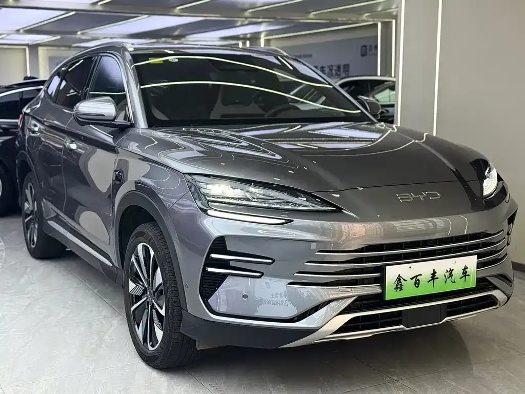 BYD PLUS New Energy — фото 5