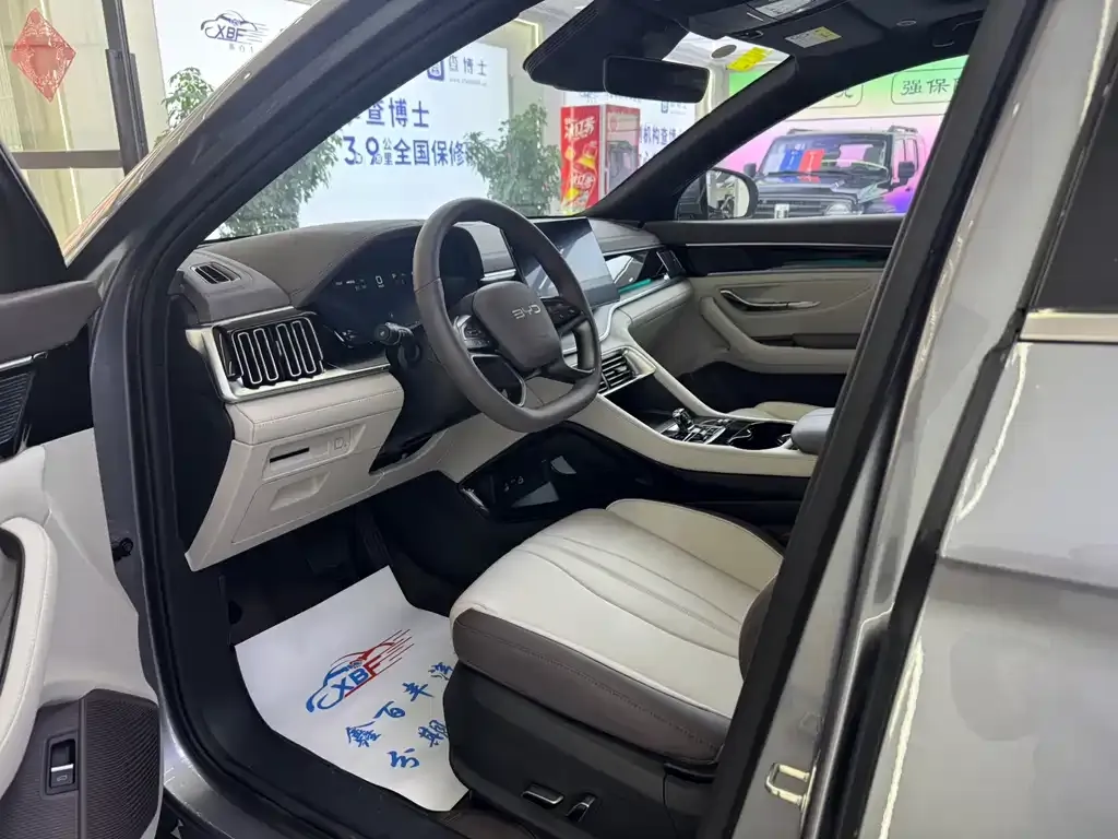 BYD PLUS New Energy — фото 9