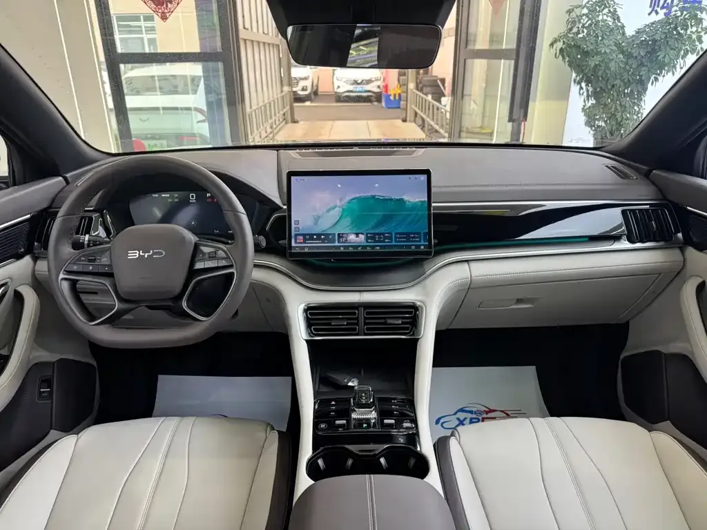 BYD PLUS New Energy — фото 2