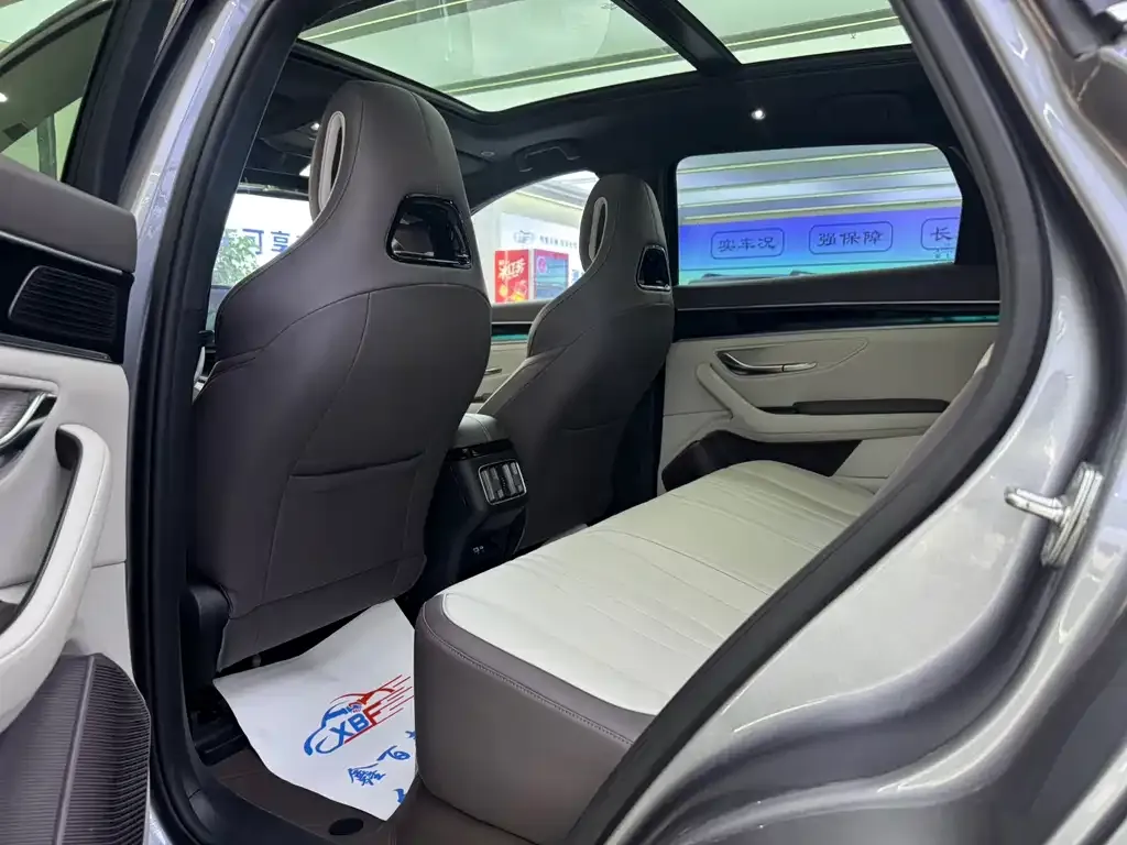 BYD PLUS New Energy — фото 10