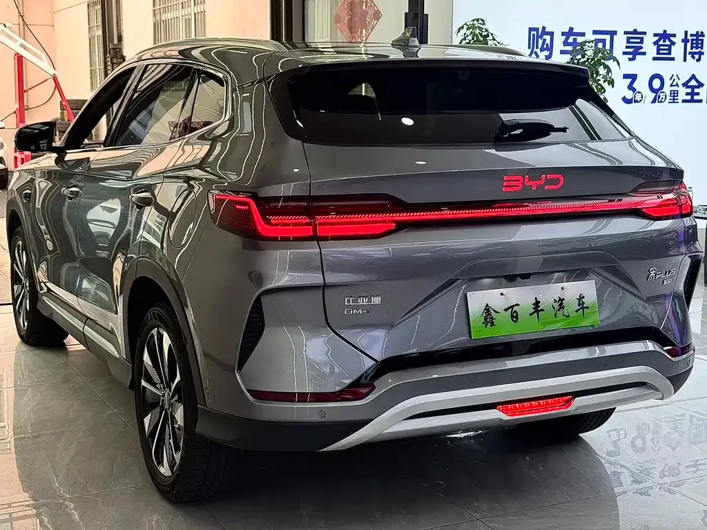 BYD PLUS New Energy — фото 4