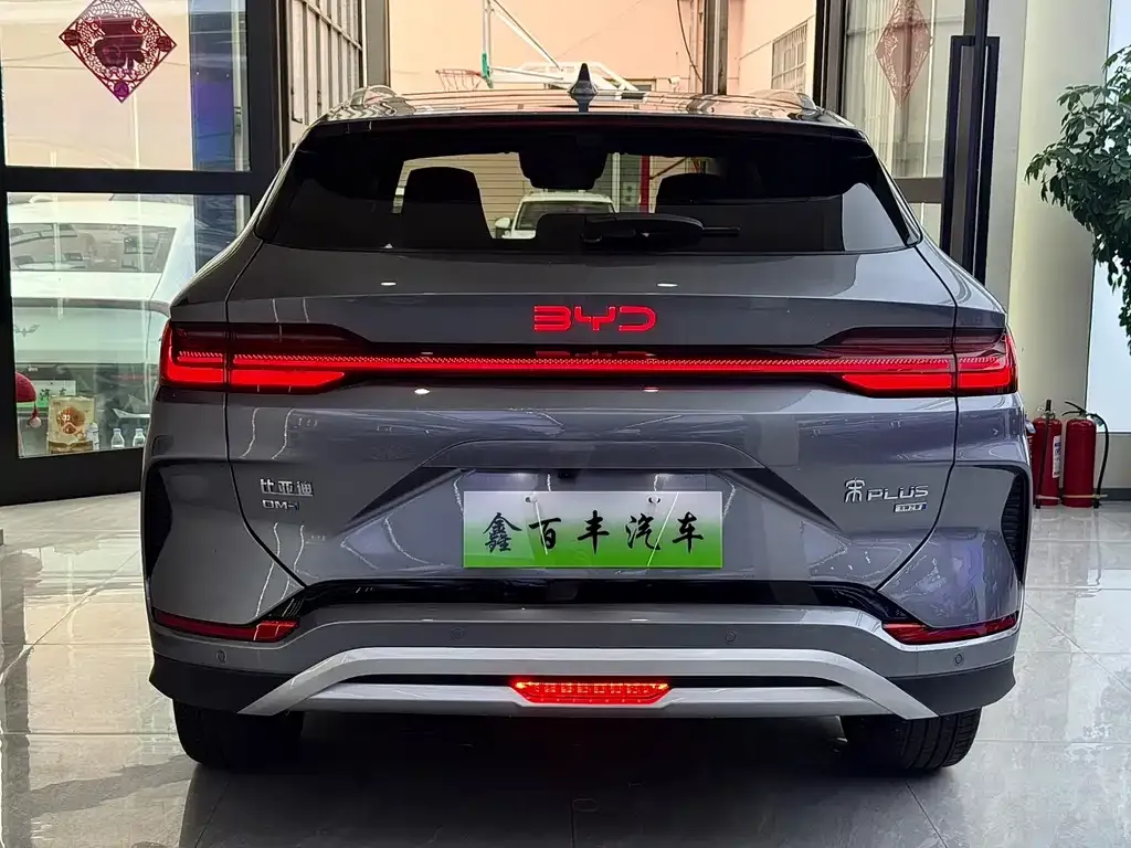 BYD PLUS New Energy — фото 6