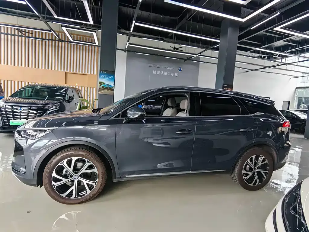 BYD Tang New Energy — фото 8