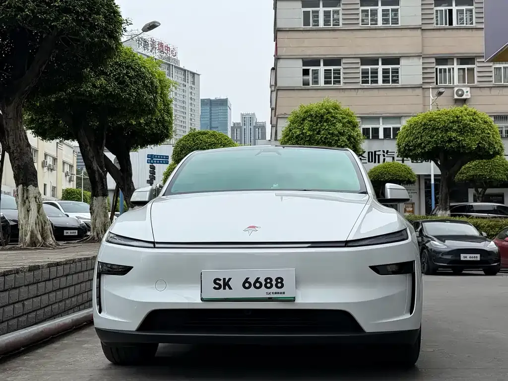 Tesla Model Y — фото 4
