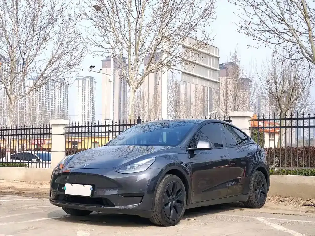 Tesla Model Y — фото 1