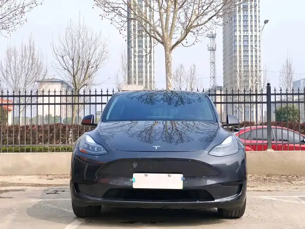 Tesla Model Y — фото 6