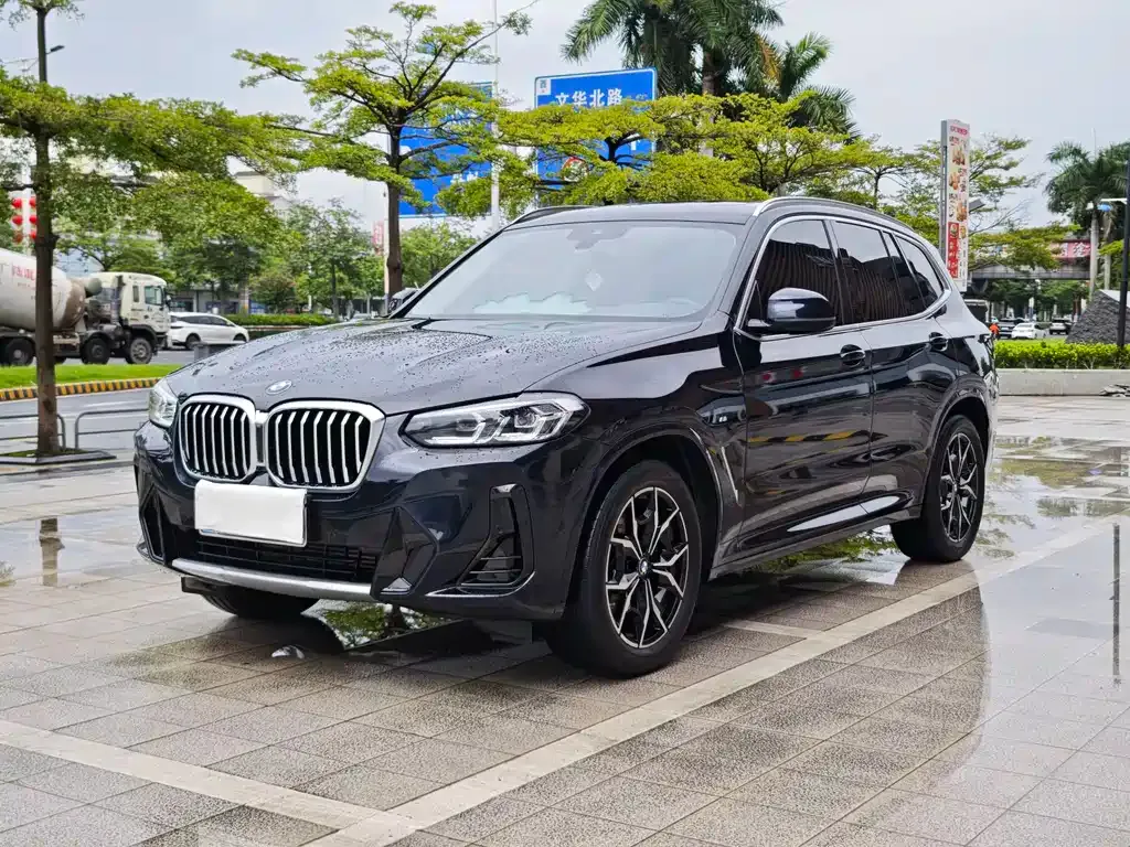 BMW X3 — фото 1