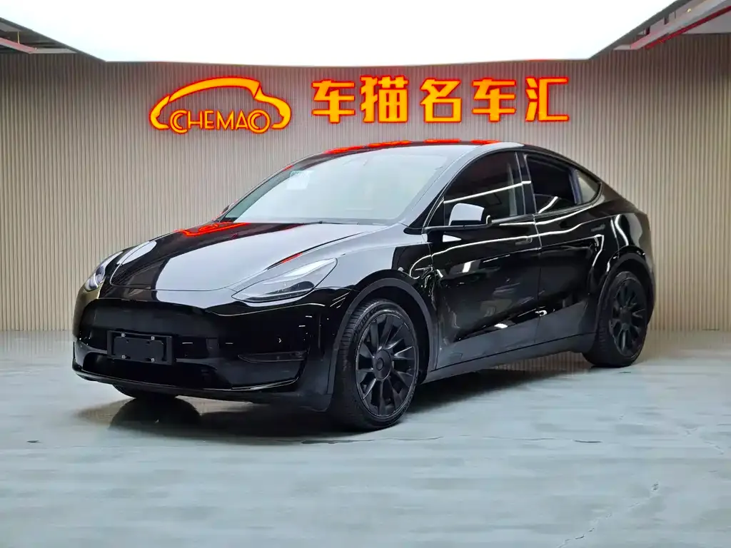 Tesla Model Y — фото 1