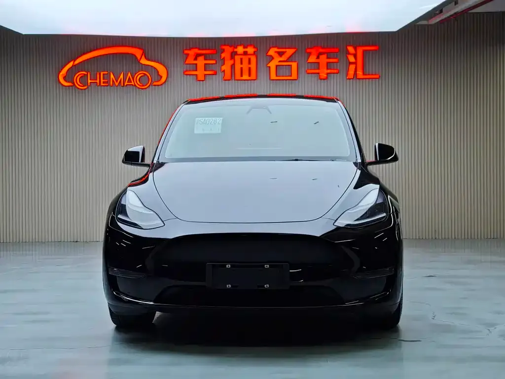 Tesla Model Y — фото 8