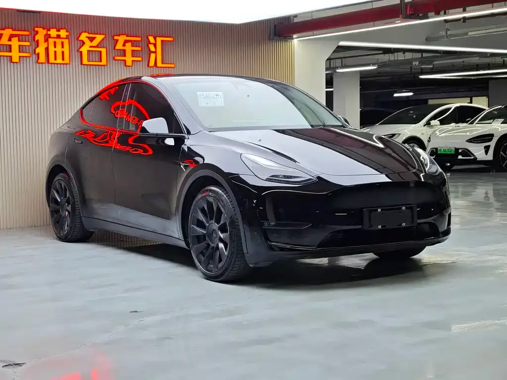 Tesla Model Y — фото 4