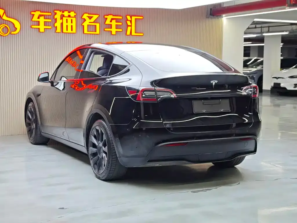 Tesla Model Y — фото 10