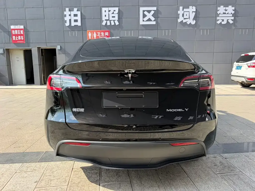 Tesla Model Y — фото 10