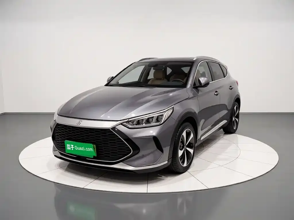 BYD PLUS New Energy — фото 1