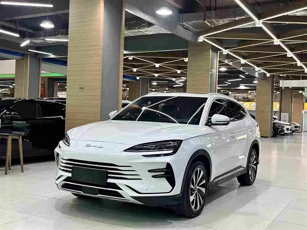 BYD PLUS New Energy — фото 1