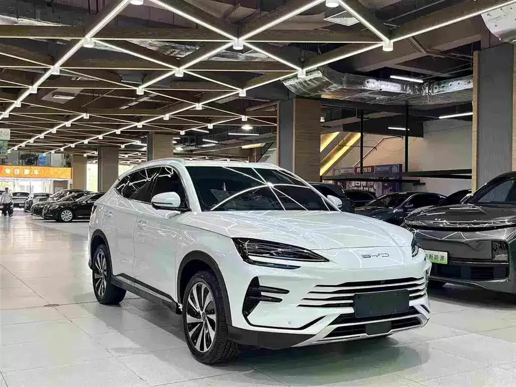 BYD PLUS New Energy — фото 10