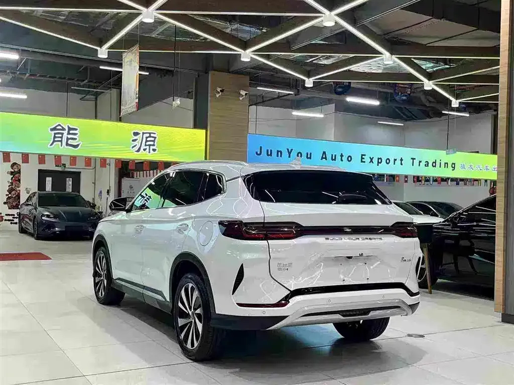 BYD PLUS New Energy — фото 6